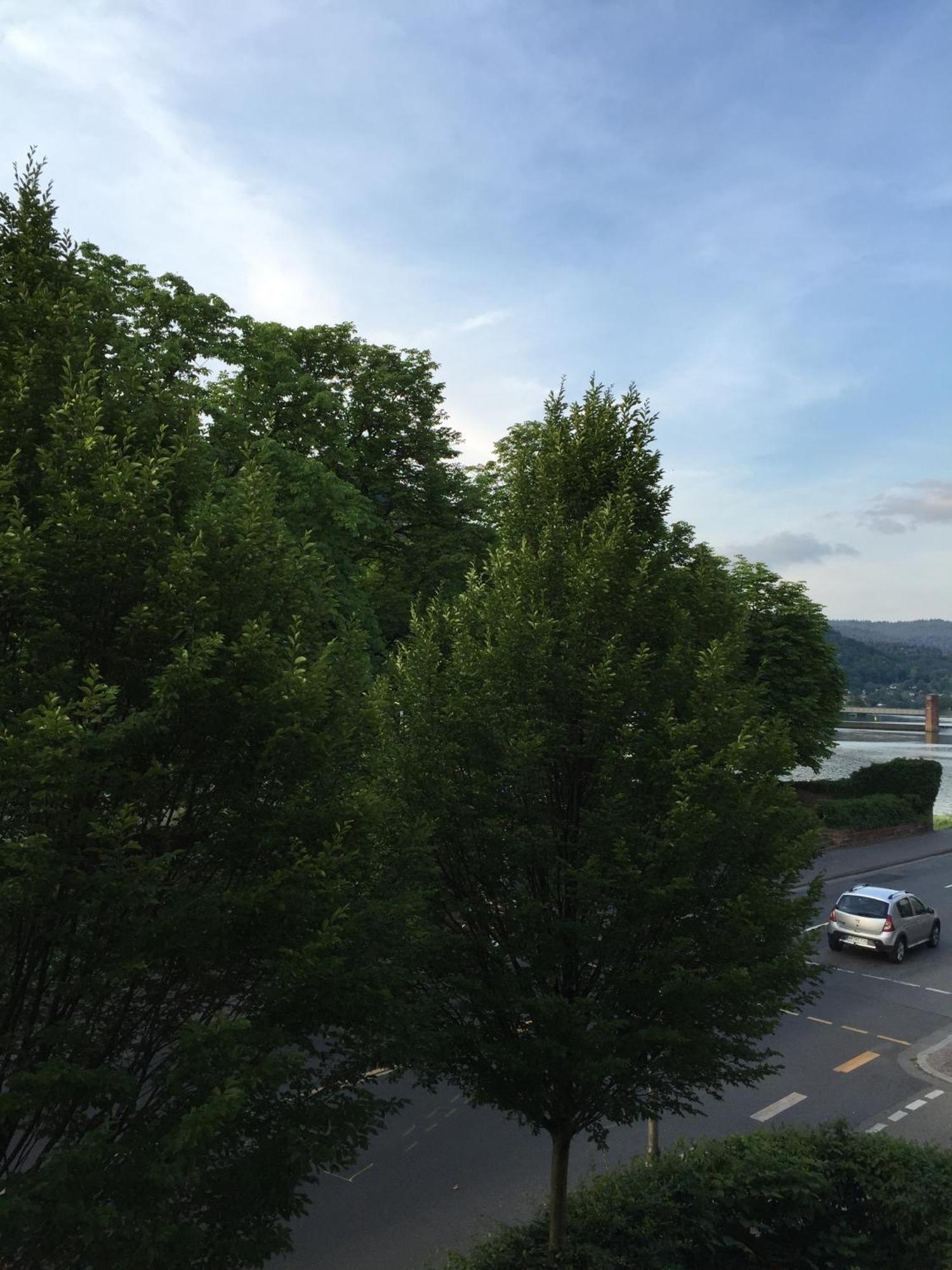 Hotel Zur Alten Bruecke Heidelberg Phòng bức ảnh
